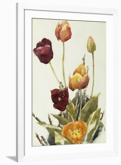 Tulips, 1933 (Watercolour and Graphite on Paper)-Charles Demuth-Framed Giclee Print