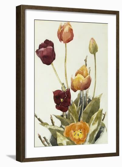 Tulips, 1933 (Watercolour and Graphite on Paper)-Charles Demuth-Framed Giclee Print