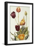 Tulips, 1933 (Watercolour and Graphite on Paper)-Charles Demuth-Framed Giclee Print