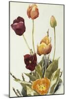 Tulips, 1933 (Watercolour and Graphite on Paper)-Charles Demuth-Mounted Giclee Print