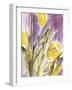 Tulips, 1987-Claudia Hutchins-Puechavy-Framed Giclee Print