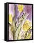 Tulips, 1987-Claudia Hutchins-Puechavy-Framed Stretched Canvas