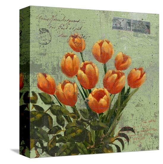tulips 1-Rick Novak-Stretched Canvas