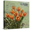 tulips 1-Rick Novak-Stretched Canvas