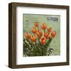 tulips 1-Rick Novak-Framed Art Print
