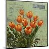 tulips 1-Rick Novak-Mounted Art Print