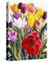 Tulips, 2007-Christopher Ryland-Stretched Canvas