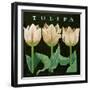 Tulips, 2013-Jennifer Abbott-Framed Giclee Print