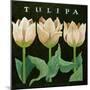 Tulips, 2013-Jennifer Abbott-Mounted Giclee Print