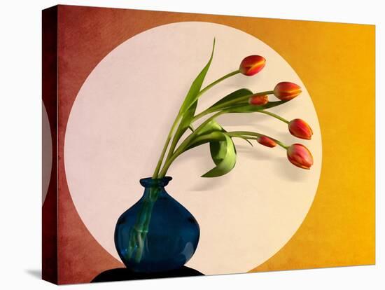 Tulips 3-Mark Ashkenazi-Stretched Canvas