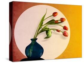 Tulips 3-Mark Ashkenazi-Stretched Canvas