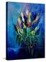 Tulips 45-Pol Ledent-Stretched Canvas