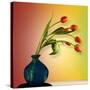 Tulips 5-Mark Ashkenazi-Stretched Canvas