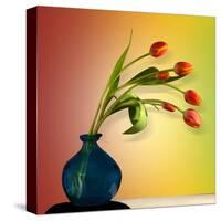 Tulips 5-Mark Ashkenazi-Stretched Canvas