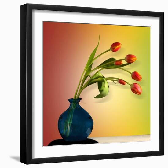 Tulips 5-Mark Ashkenazi-Framed Giclee Print