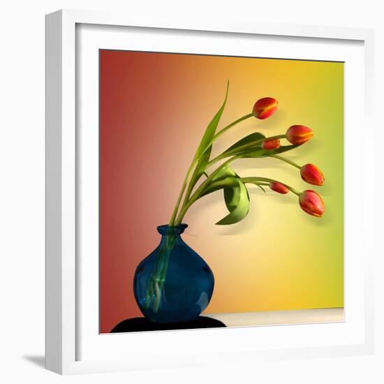 Tulips 5-Mark Ashkenazi-Framed Giclee Print