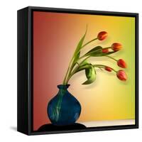 Tulips 5-Mark Ashkenazi-Framed Stretched Canvas