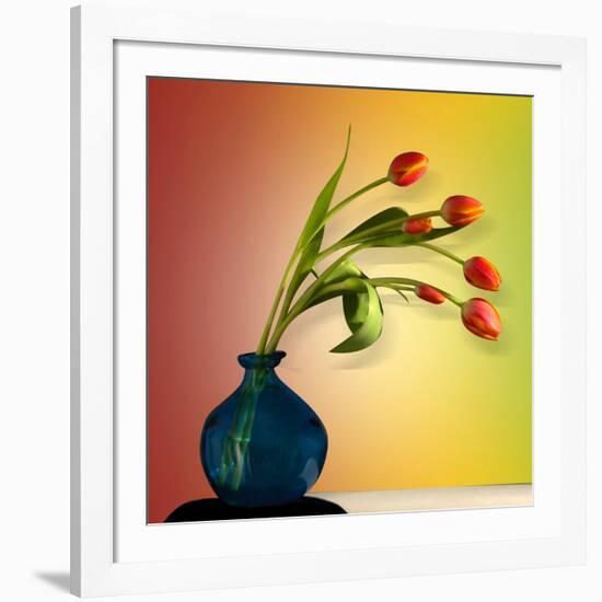 Tulips 5-Mark Ashkenazi-Framed Giclee Print