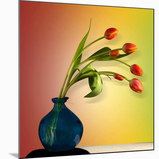 Tulips 5-Mark Ashkenazi-Mounted Giclee Print