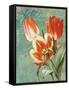 Tulips Ablaze II-Color Bakery-Framed Stretched Canvas