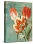 Tulips Ablaze II-Color Bakery-Stretched Canvas
