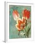 Tulips Ablaze II-Color Bakery-Framed Giclee Print