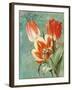 Tulips Ablaze II-Color Bakery-Framed Giclee Print