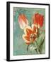 Tulips Ablaze II-Color Bakery-Framed Giclee Print