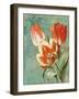 Tulips Ablaze II-Color Bakery-Framed Giclee Print