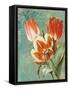 Tulips Ablaze II-Color Bakery-Framed Stretched Canvas