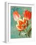 Tulips Ablaze II-null-Framed Giclee Print