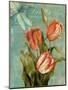 Tulips Ablaze III-Color Bakery-Mounted Giclee Print