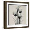 Tulips and Arum Lily-Marianne Haas-Framed Art Print