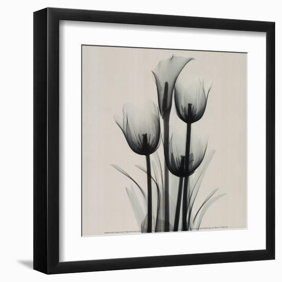 Tulips and Arum Lily-Marianne Haas-Framed Art Print