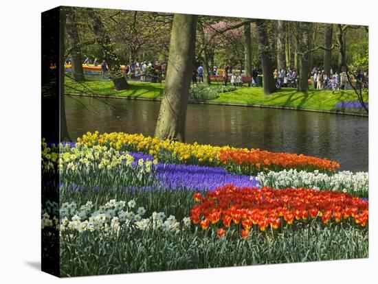 Tulips and Daffodils in Bloom in Keukenhof Gardens, Amsterdam, Netherlands-Keren Su-Stretched Canvas