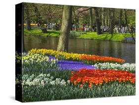 Tulips and Daffodils in Bloom in Keukenhof Gardens, Amsterdam, Netherlands-Keren Su-Stretched Canvas