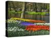 Tulips and Daffodils in Bloom in Keukenhof Gardens, Amsterdam, Netherlands-Keren Su-Stretched Canvas