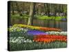 Tulips and Daffodils in Bloom in Keukenhof Gardens, Amsterdam, Netherlands-Keren Su-Stretched Canvas