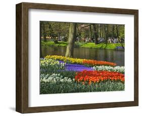 Tulips and Daffodils in Bloom in Keukenhof Gardens, Amsterdam, Netherlands-Keren Su-Framed Photographic Print