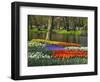 Tulips and Daffodils in Bloom in Keukenhof Gardens, Amsterdam, Netherlands-Keren Su-Framed Photographic Print