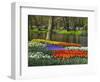 Tulips and Daffodils in Bloom in Keukenhof Gardens, Amsterdam, Netherlands-Keren Su-Framed Photographic Print