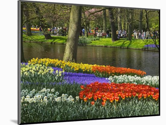 Tulips and Daffodils in Bloom in Keukenhof Gardens, Amsterdam, Netherlands-Keren Su-Mounted Photographic Print