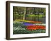 Tulips and Daffodils in Bloom in Keukenhof Gardens, Amsterdam, Netherlands-Keren Su-Framed Photographic Print