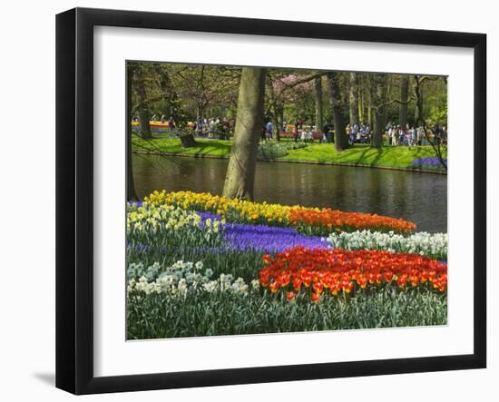 Tulips and Daffodils in Bloom in Keukenhof Gardens, Amsterdam, Netherlands-Keren Su-Framed Photographic Print