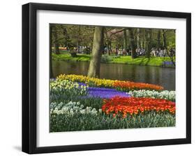 Tulips and Daffodils in Bloom in Keukenhof Gardens, Amsterdam, Netherlands-Keren Su-Framed Photographic Print