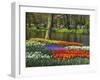 Tulips and Daffodils in Bloom in Keukenhof Gardens, Amsterdam, Netherlands-Keren Su-Framed Photographic Print