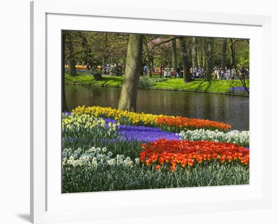 Tulips and Daffodils in Bloom in Keukenhof Gardens, Amsterdam, Netherlands-Keren Su-Framed Photographic Print