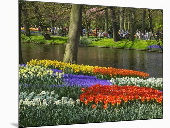 Tulips and Daffodils in Bloom in Keukenhof Gardens, Amsterdam, Netherlands-Keren Su-Mounted Photographic Print