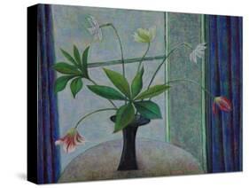 Tulips and Daffs-Ruth Addinall-Stretched Canvas