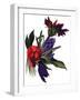 Tulips and dahlias-Hiroyuki Izutsu-Framed Giclee Print